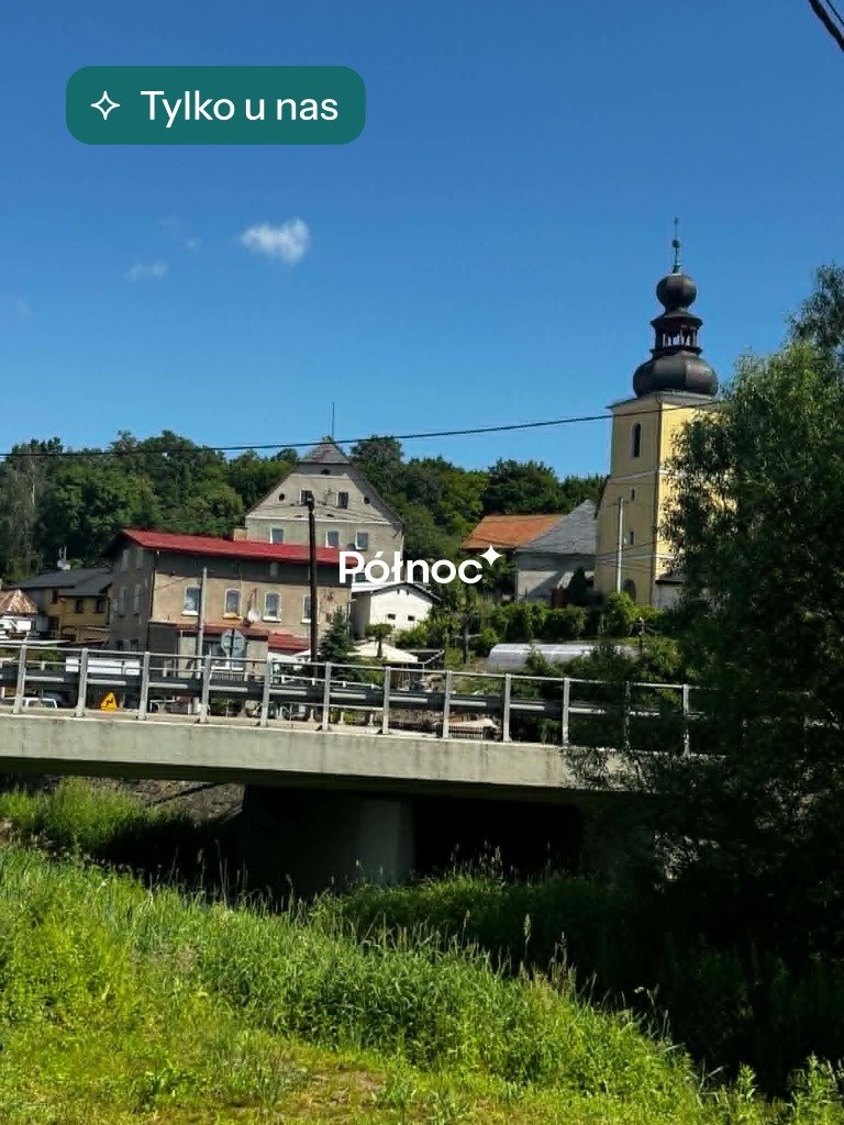 Działka inwestycyjna pod zabudowę wielorodzinną (8 151 m²) Szalejów Górny  8 180m2 Foto 1