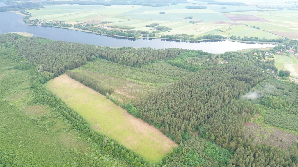 Działka leśna na sprzedaż Makosieje  60 900m2 Foto 5