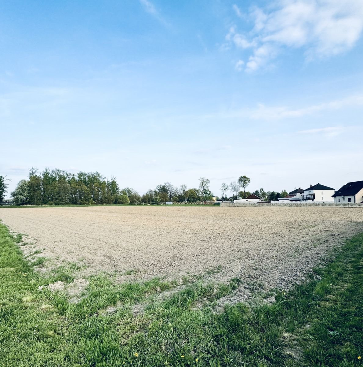 Działka budowlana na sprzedaż Pławy  1 545m2 Foto 4