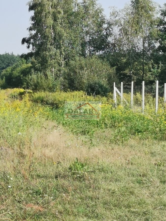 Działka budowlana na sprzedaż Zawodne  1 200m2 Foto 4