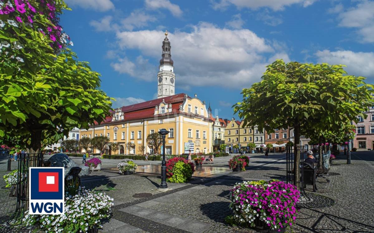 Lokal usługowy 100 m2 w centrum Bolesławca, po remoncie Bolesławiec, Rynek  100m2 Foto 1