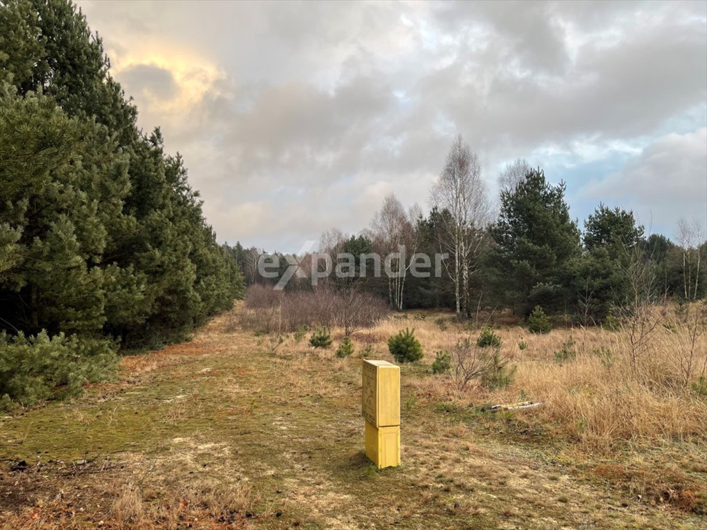 Działka budowlana na sprzedaż Częstochowa  1 204m2 Foto 3