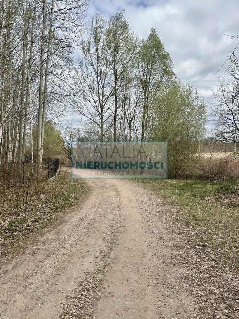 Zapraszam do obejrzenia działki 2000 m² z lasem w Strzeniówce Strzeniówka  2 000m2 Foto 1