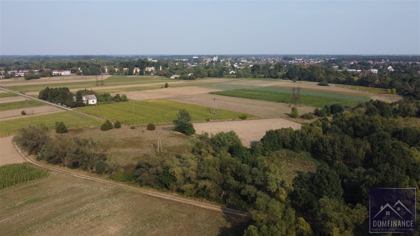 Działka rolna na sprzedaż Lubasz  10 100m2 Foto 5