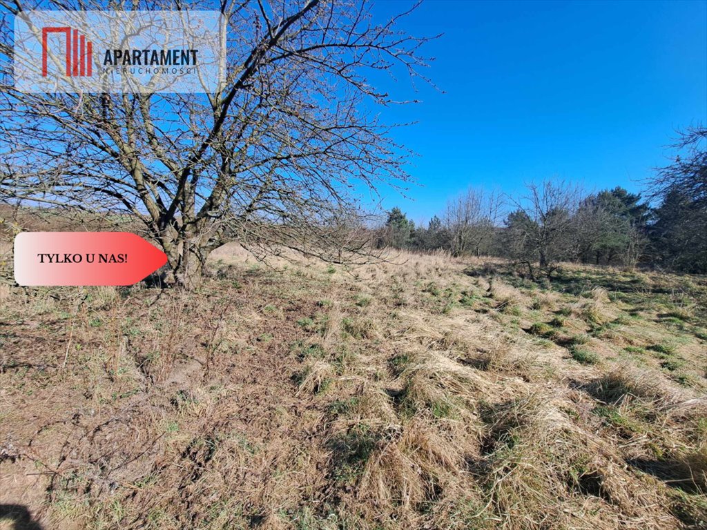 Działka 1000 m² pod dom w Lubiążu, asfalt, zalesiona Lubiąż  1 000m2 Foto 1