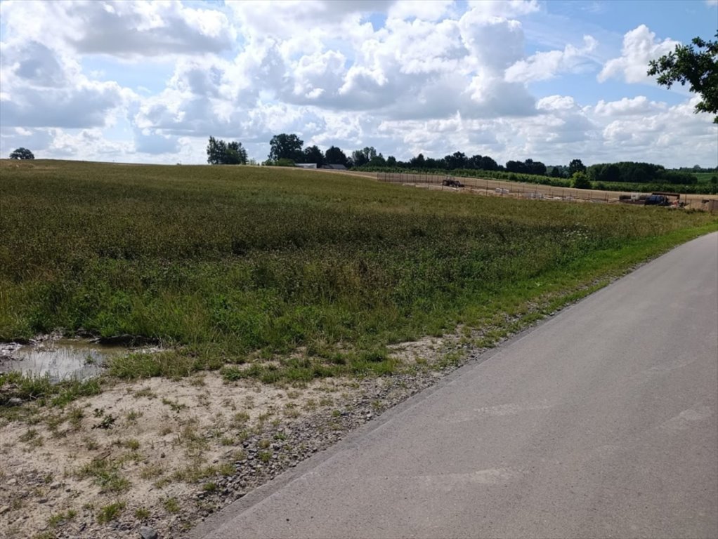 Polecam działkę 8 800 m² w Płouszowicach z dogodnym dojazdem Płouszowice, 63  8 800m2 Foto 1