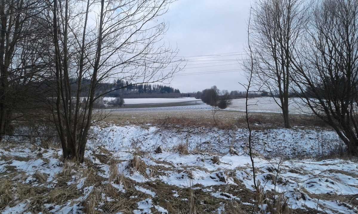 Działka inna na sprzedaż Lądek-Zdrój  5 200m2 Foto 7