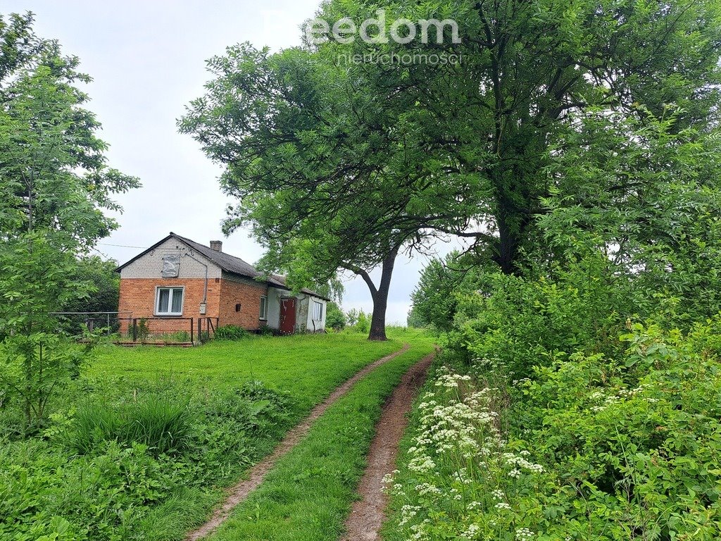 Działka siedliskowa na sprzedaż Osiny  20 800m2 Foto 1