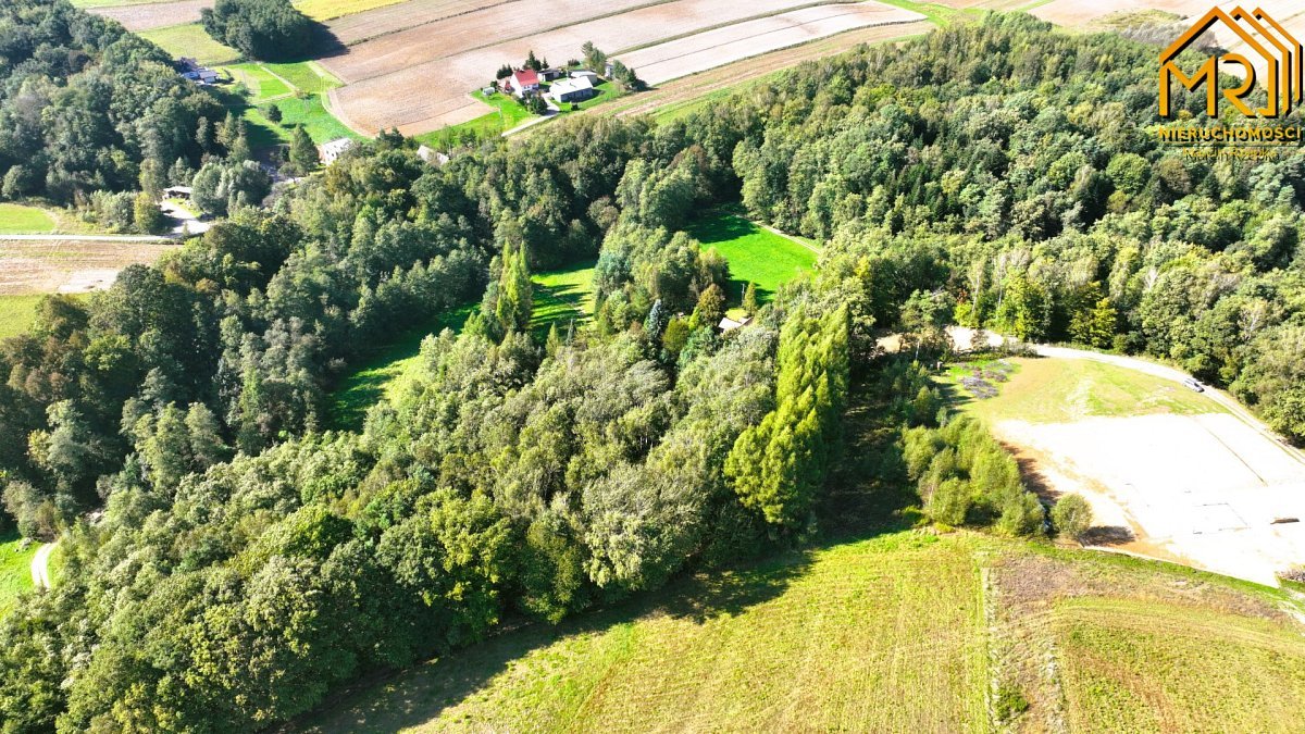 Działka inna na sprzedaż Trzemesna  5 374m2 Foto 5