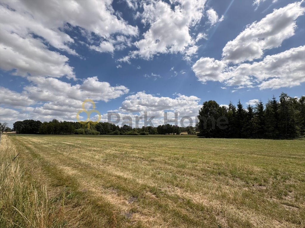 Polecam działki nad Jeziorem Powidzkim 8-12 arów, blisko plaży Giewartów  800m2 Foto 1