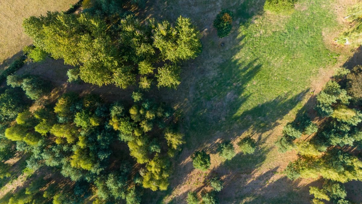 Działka budowlana na sprzedaż Koszęcin, Słowików  506m2 Foto 8