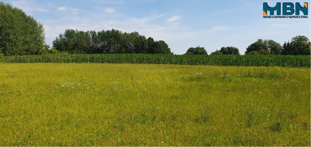 Działka rolna na sprzedaż Stręgielek, Stręgielek  3 035m2 Foto 12