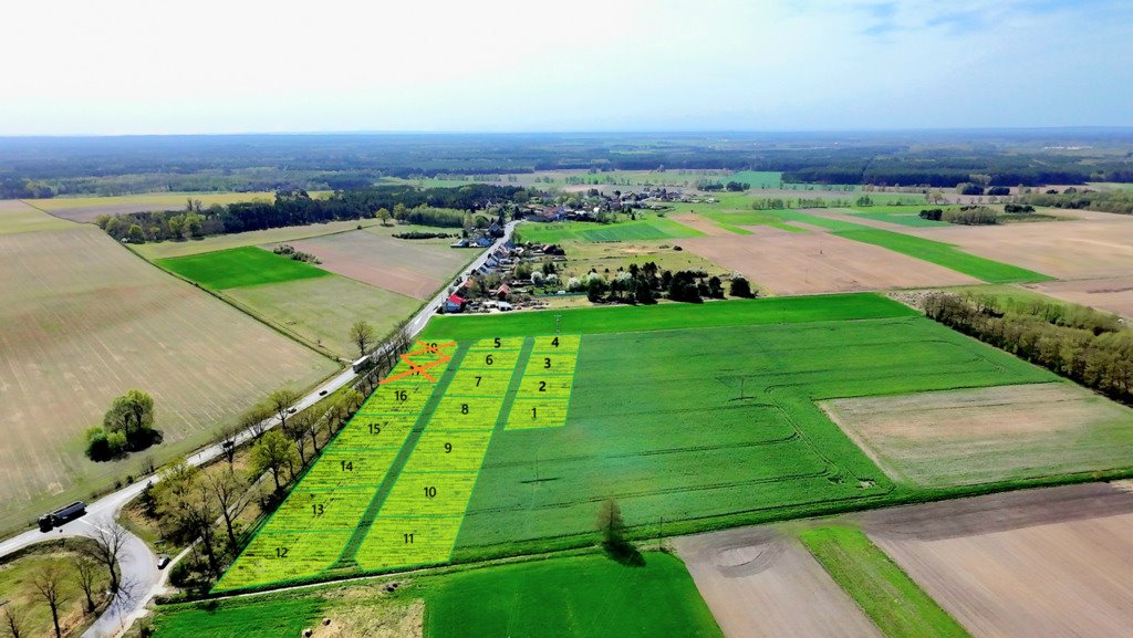 Działka budowlana na sprzedaż Kolsko  1 080m2 Foto 1