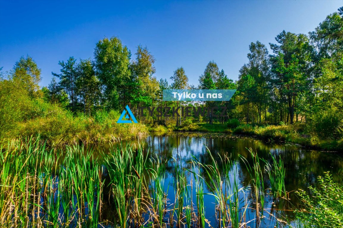 Urokliwa działka 7300 m² z stawem w sercu lasu Staniszewo  7 300m2 Foto 1