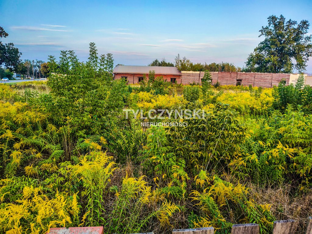 Działka budowlana na sprzedaż Kozerki  10 800m2 Foto 7