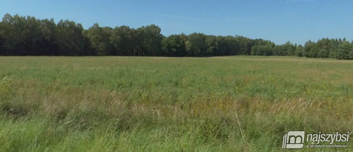 Działka inwestycyjna 3,7 ha pod usługi i produkcję Białogard  37 158m2 Foto 1