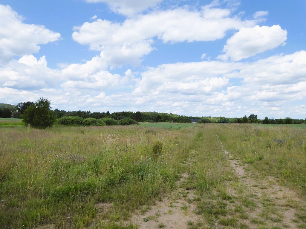 Działka budowlana na sprzedaż Borcz, Spokojna  1 292m2 Foto 17