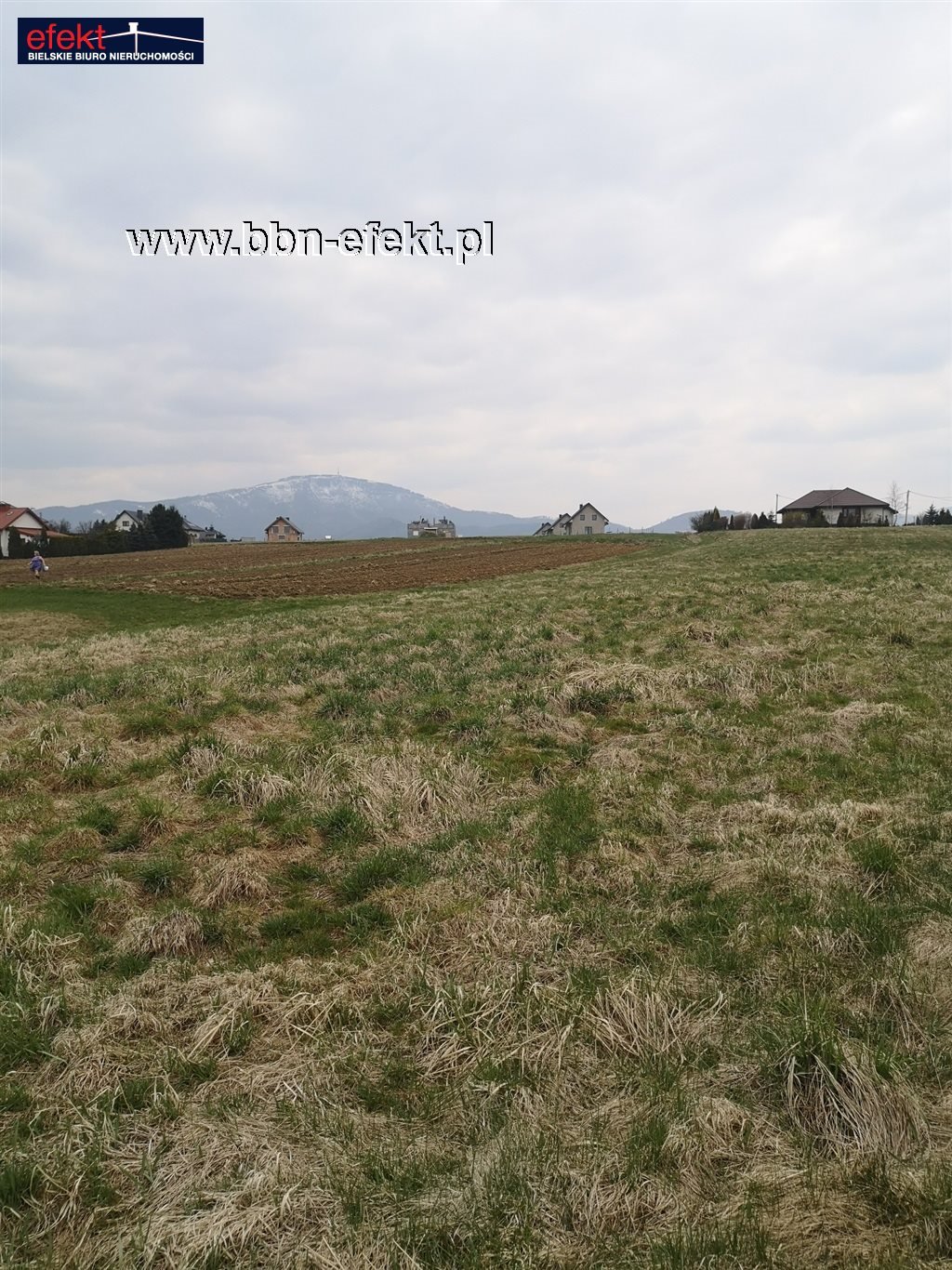 Działka budowlana na sprzedaż Pietrzykowice  1 300m2 Foto 3