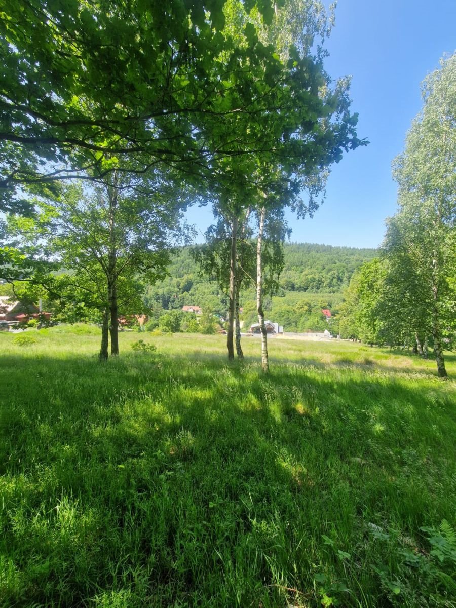 Działka budowlana na sprzedaż Świeradów-Zdrój, Osiedlowa  5 500m2 Foto 1