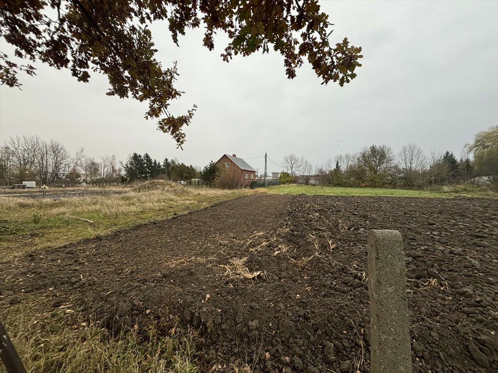 Działka budowlana na sprzedaż Malbork, Miłoradz  2 598m2 Foto 5