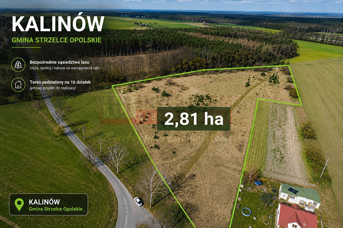 Działka inwestycyjna 2,81 ha z 16 działkami w Kalinowie Kalinów  28 106m2 Foto 1