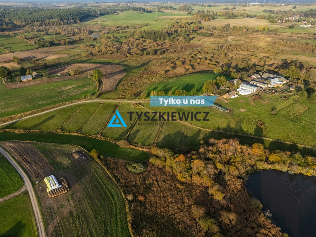 Działka rolna na sprzedaż Rekowo, Brynki Rekowskie  5 000m2 Foto 1
