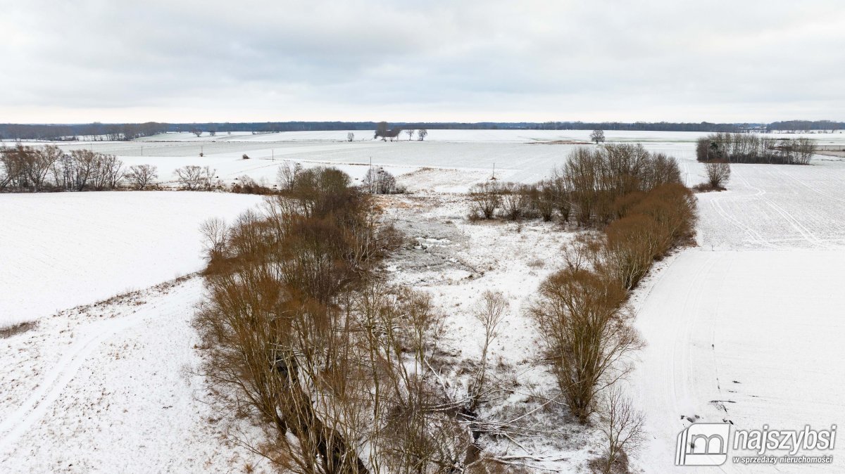 Działka rolna na sprzedaż Jenikowo  19 000m2 Foto 5