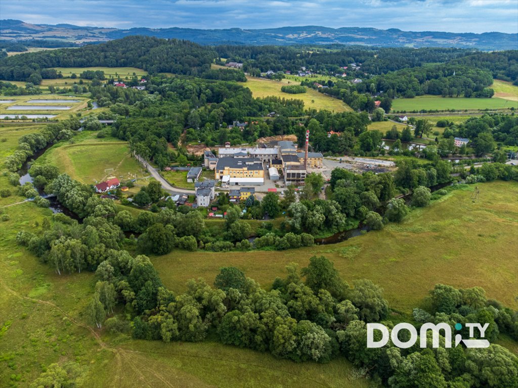 Działka budowlana na sprzedaż Dąbrowica  46 303m2 Foto 16