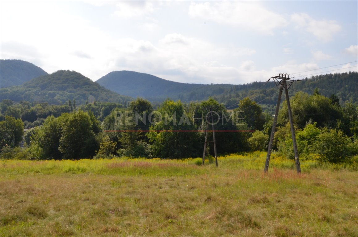 Działka przemysłowo-handlowa na sprzedaż Wałbrzych, Podgórze  5 983m2 Foto 14