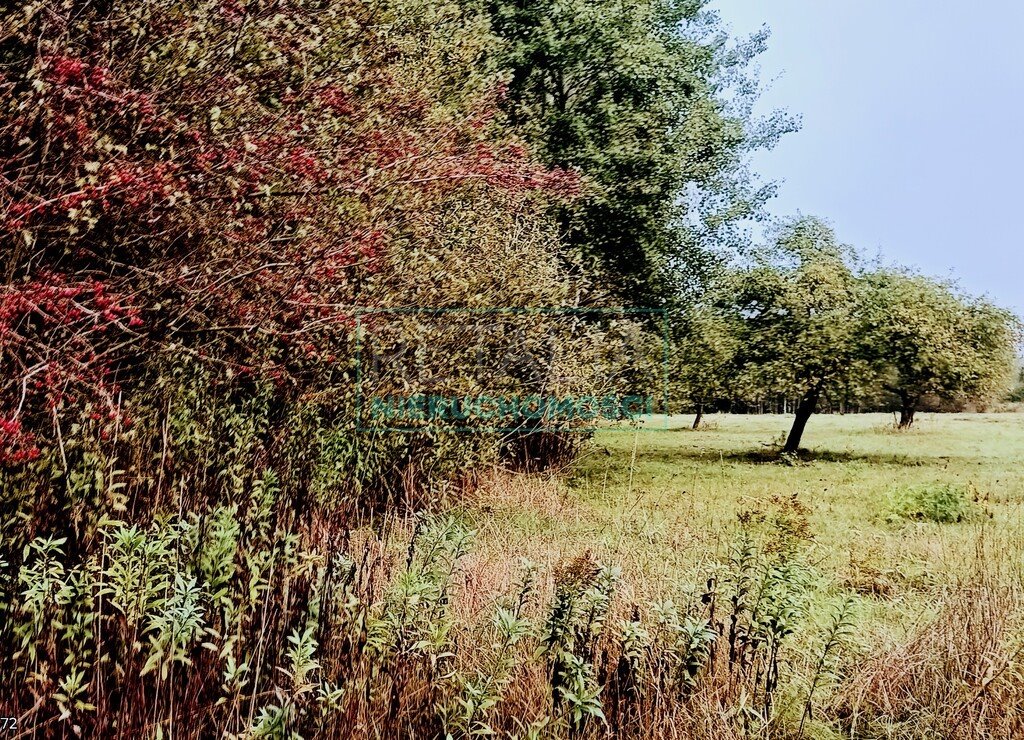 Działka siedliskowa na sprzedaż Nowa Bukówka  17 000m2 Foto 4