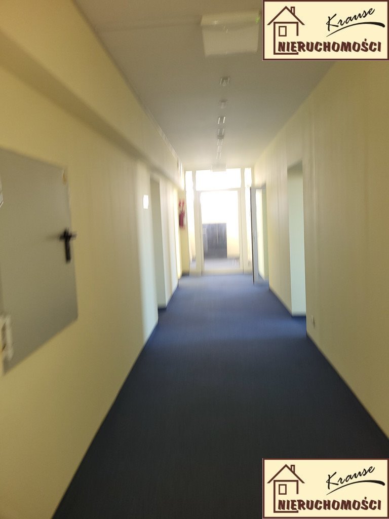 Lokal użytkowy na wynajem Poznań, Grunwald  370m2 Foto 20