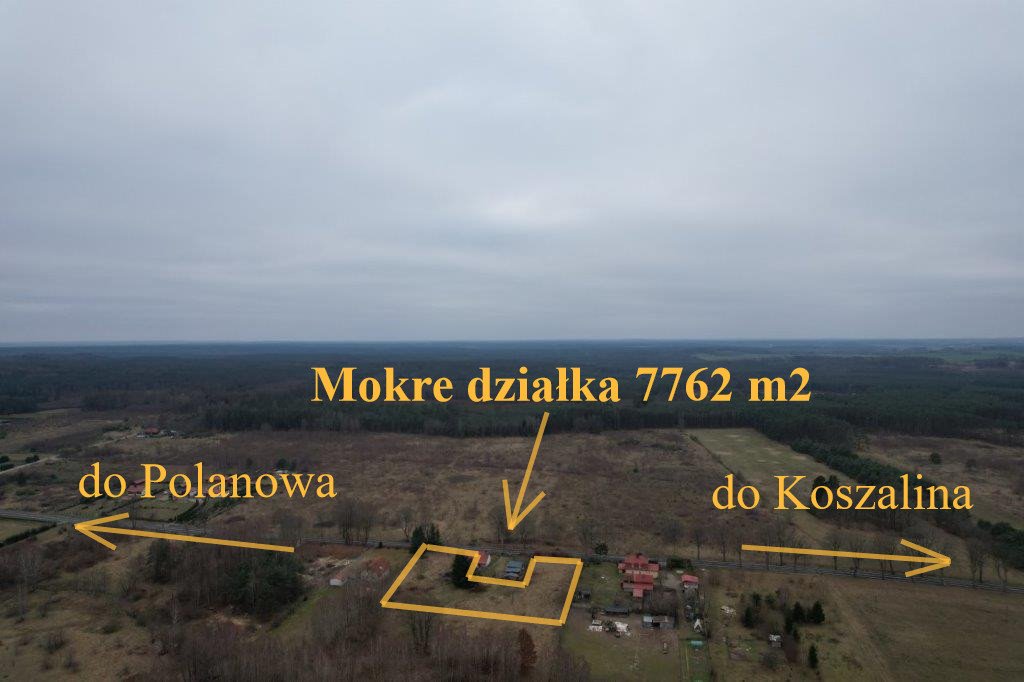 Działka budowlana na sprzedaż Szczeglino  7 762m2 Foto 12