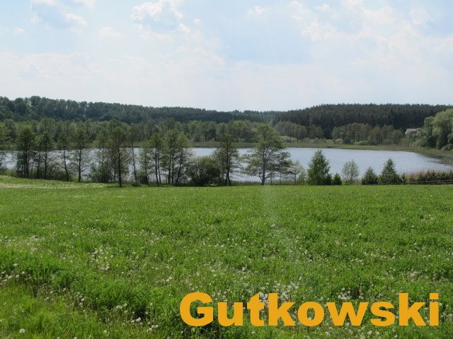 Działka rolna na sprzedaż Jamielnik, gmina Nowe Miasto Lubawskie  10 001m2 Foto 1