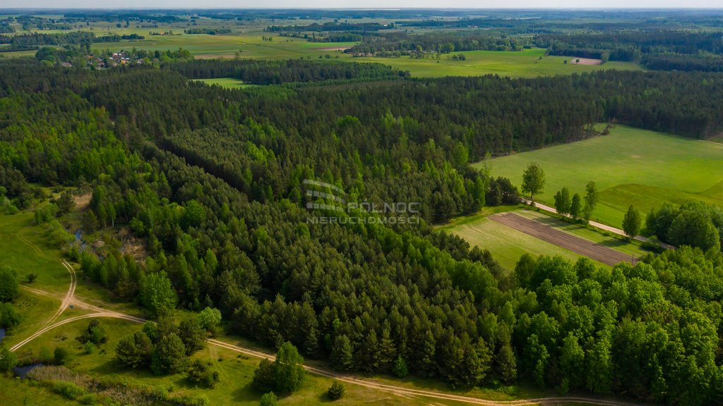 Działka rolna na sprzedaż Cisówka  32 000m2 Foto 19