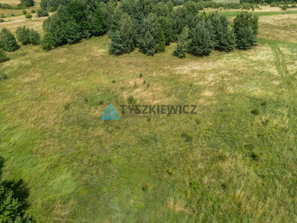 Zdjęcie 2