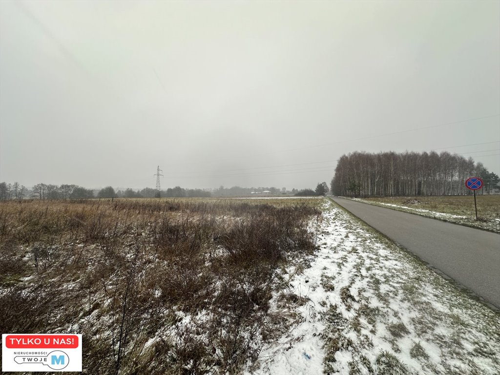 Działka rolna na sprzedaż Śladków Duży, Śladków Duży, Śladków Duży  43 100m2 Foto 1