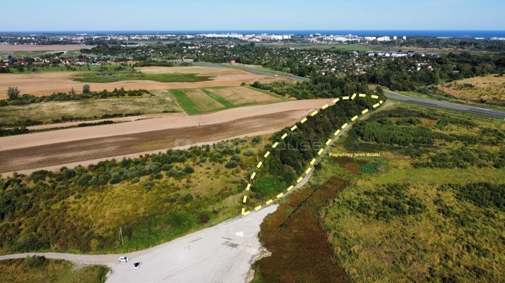 Działka rolna na sprzedaż Niekanin  19 000m2 Foto 10