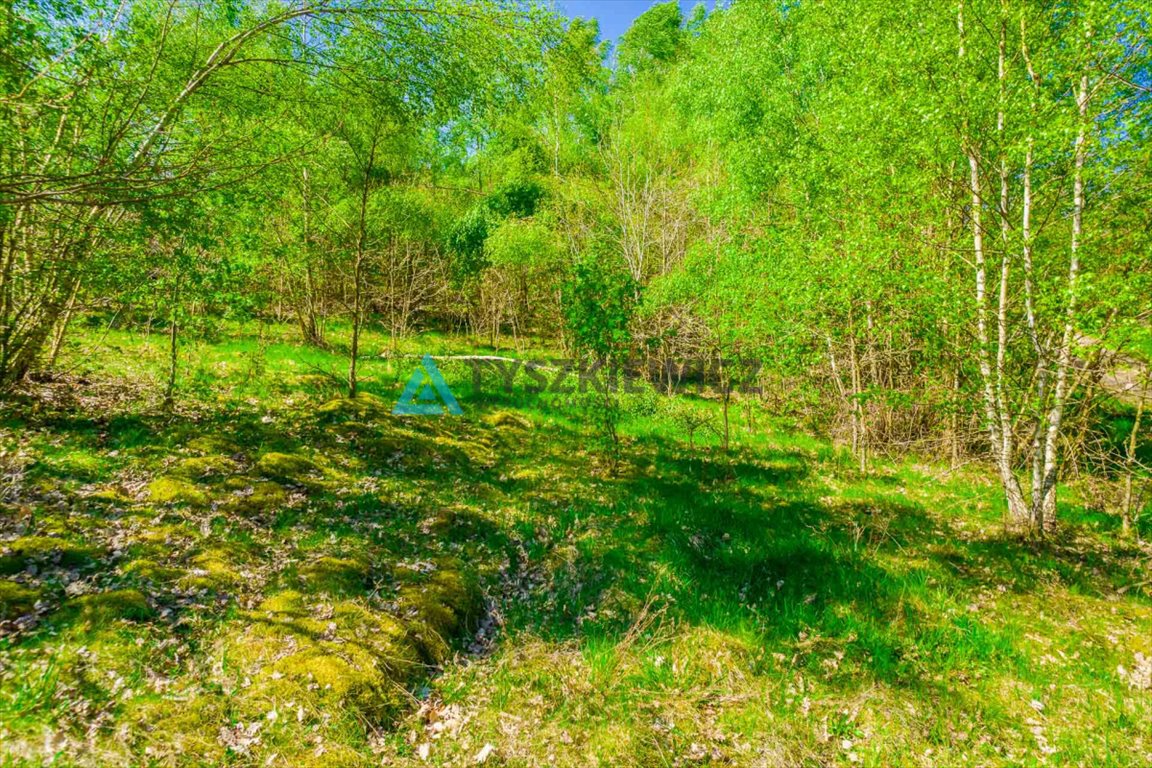 Działka rekreacyjna na sprzedaż Żukówko  1 925m2 Foto 12