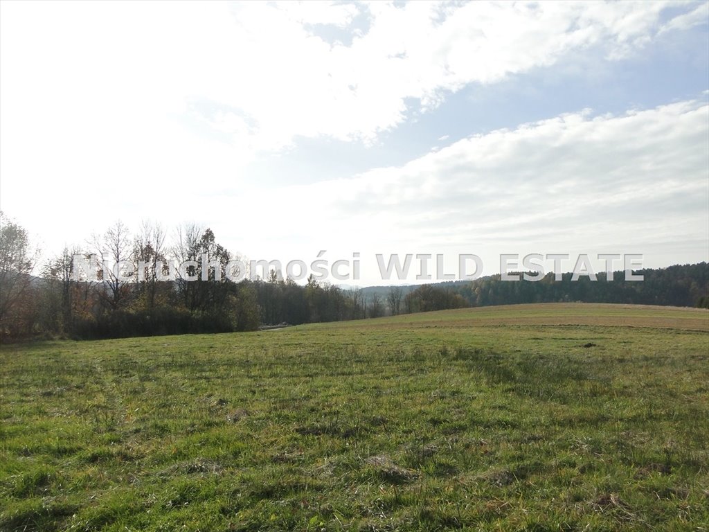 Działka rolno-budowlana 1,04 ha z widokiem na las zapraszam Solina, Berezka  10 398m2 Foto 1