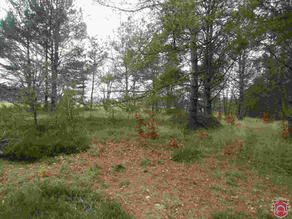 Działka budowlana na sprzedaż Kamień, Piaskowa 1 016m2 Foto 1 Działka budowlana na sprzedaż Kamień, Piaskowa 1 016m2 Foto 1