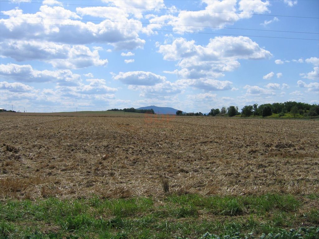 Działka siedliskowa na sprzedaż Kąty Wrocławskie, Gliniana  4 800m2 Foto 1