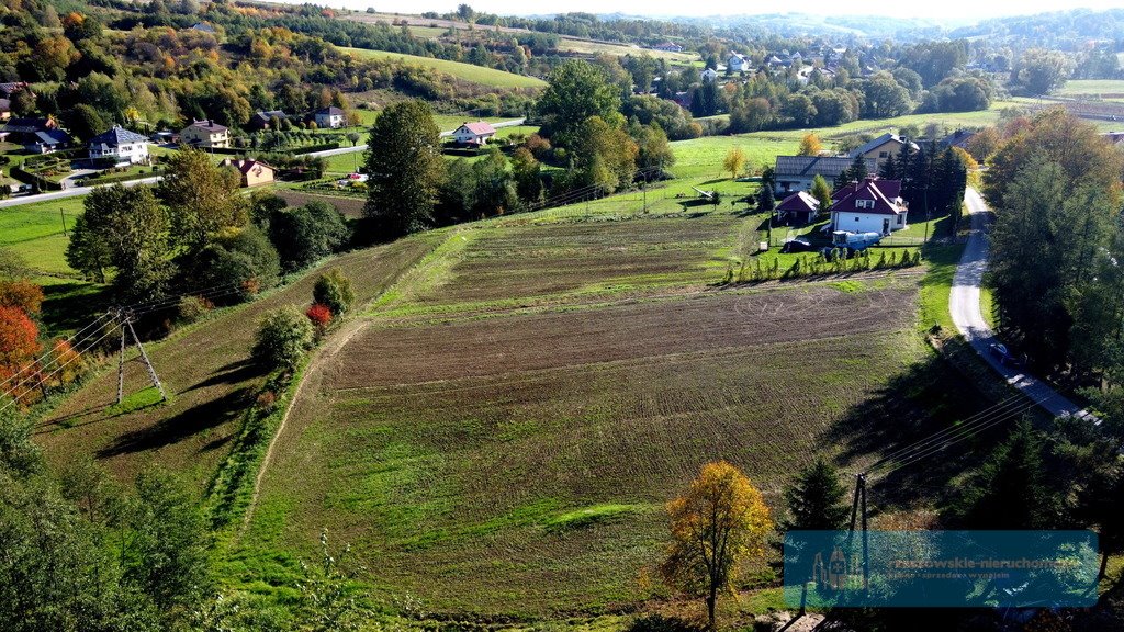 Działka budowlana na sprzedaż Chmielnik  4 800m2 Foto 6