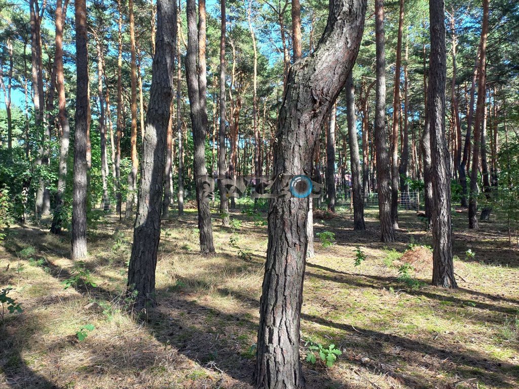 Działka budowlana na sprzedaż Józefów, Józefów, Ziarnista  1 200m2 Foto 5