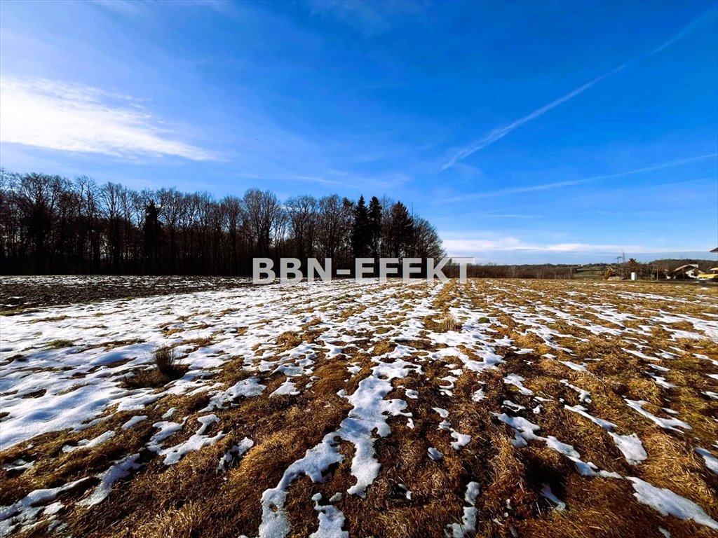 Działka budowlana na sprzedaż Pisarzowice  1 092m2 Foto 4