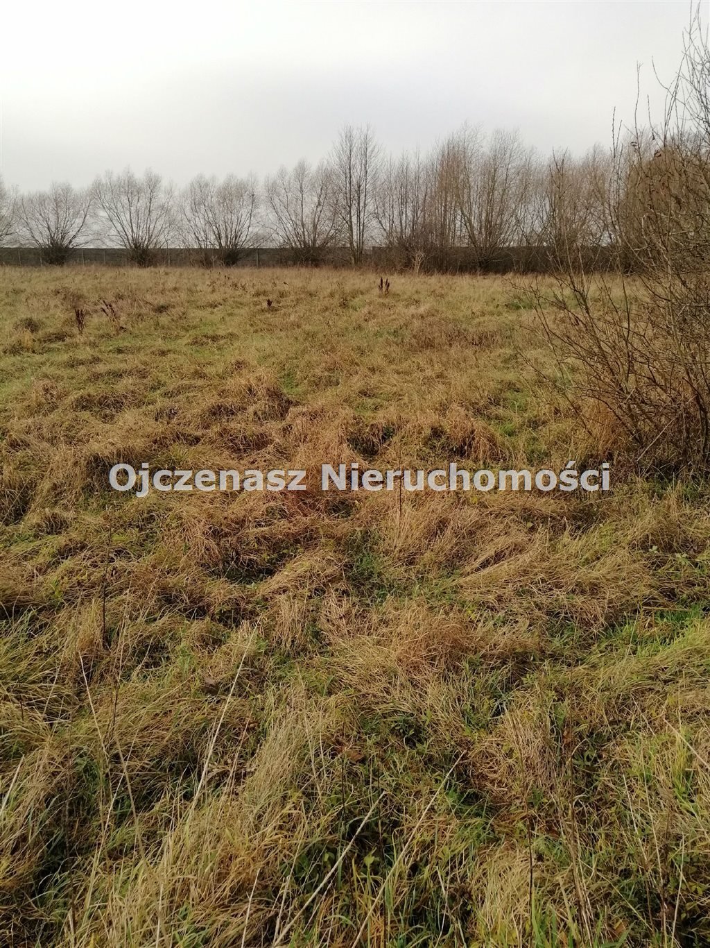 Działka budowlana 3000 m² w Olimpinie, media w drodze Olimpin  3 009m2 Foto 1