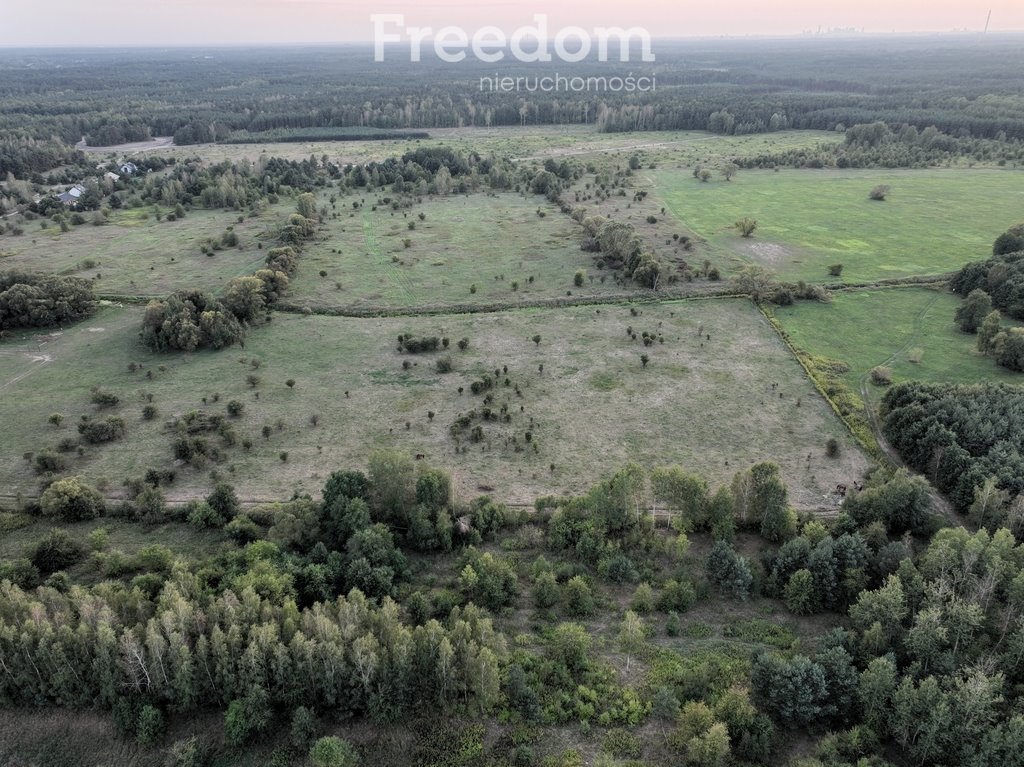 Działka rolna na sprzedaż Okuniew  800m2 Foto 4