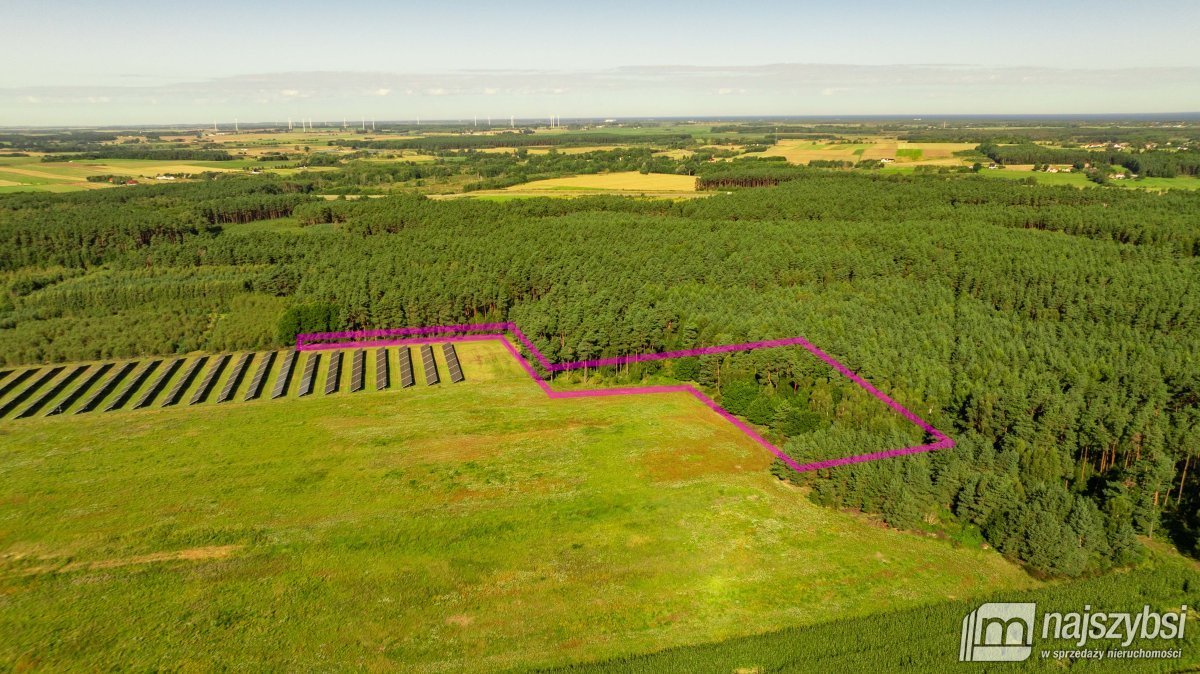 Działka leśna 7 400 m² w Charzynie – idealna pod inwestycję Charzyno  7 400m2 Foto 1