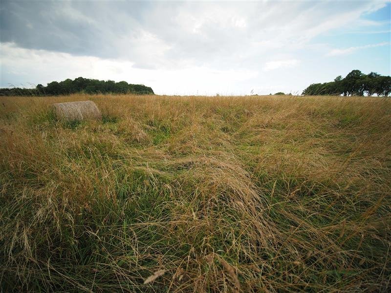 Działka inna na sprzedaż Rusinowo, 1101G  3 000m2 Foto 12