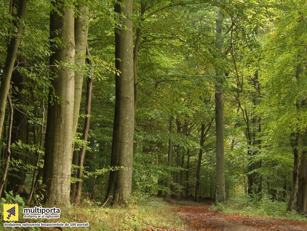 Dom na sprzedaż Purda  180m2 Foto 8