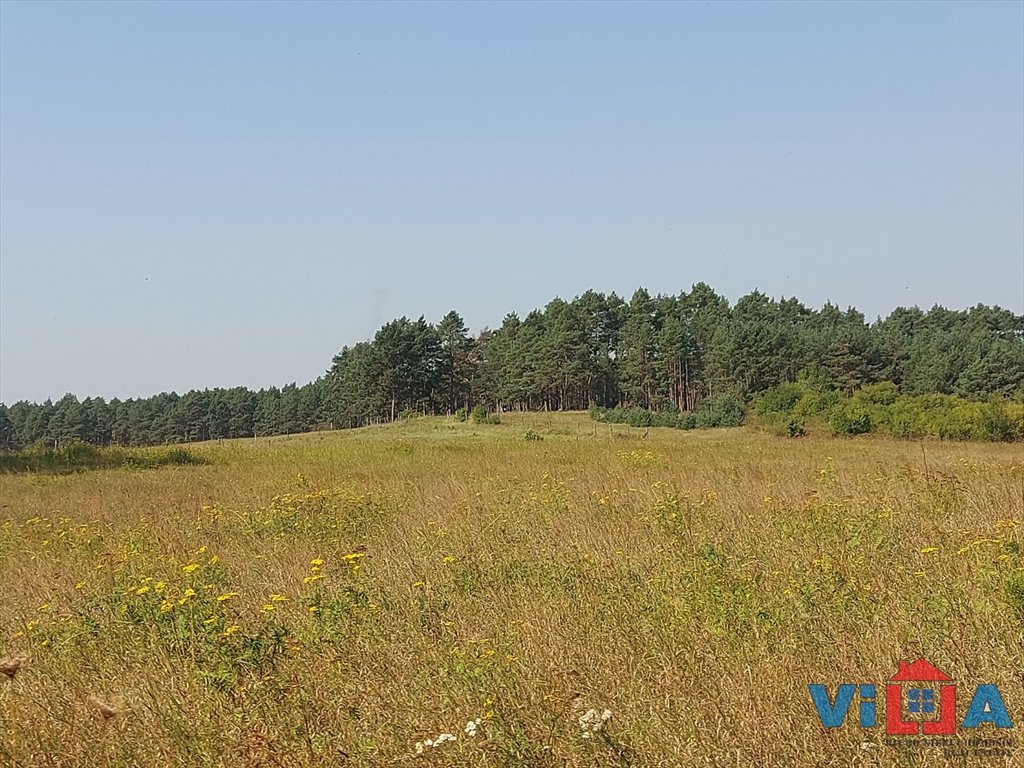 Działka inwestycyjna na sprzedaż Droszków  13 100m2 Foto 2